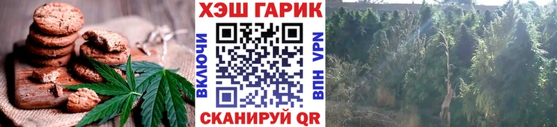 Canna-Cookies марихуана  Купить где  Высоковск 
