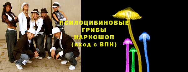 кокаин Заводоуковск