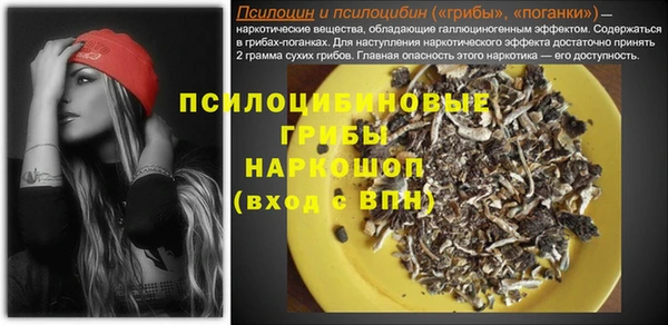 кокаин Заводоуковск