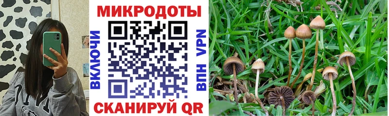 Купить закладки  Высоковск  Галлюциногенные грибы MAGIC MUSHROOMS 