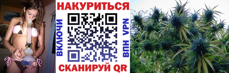Купить закладки  Высоковск  Канабис White Widow 